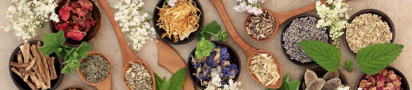 Why Fiddy Snails Considers These Her 3 Favorite Extracts in Korean Skincare