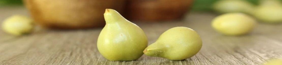 Meet The Australian Superfood That Helps Prevent Wrinkles and Dark Spots + 8 Products You’ll Love