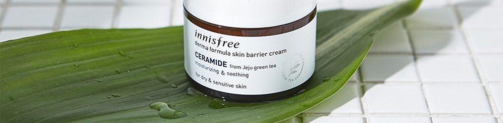 The Review: Innisfree Derma Formula Skin Barrier Cream Ceramide